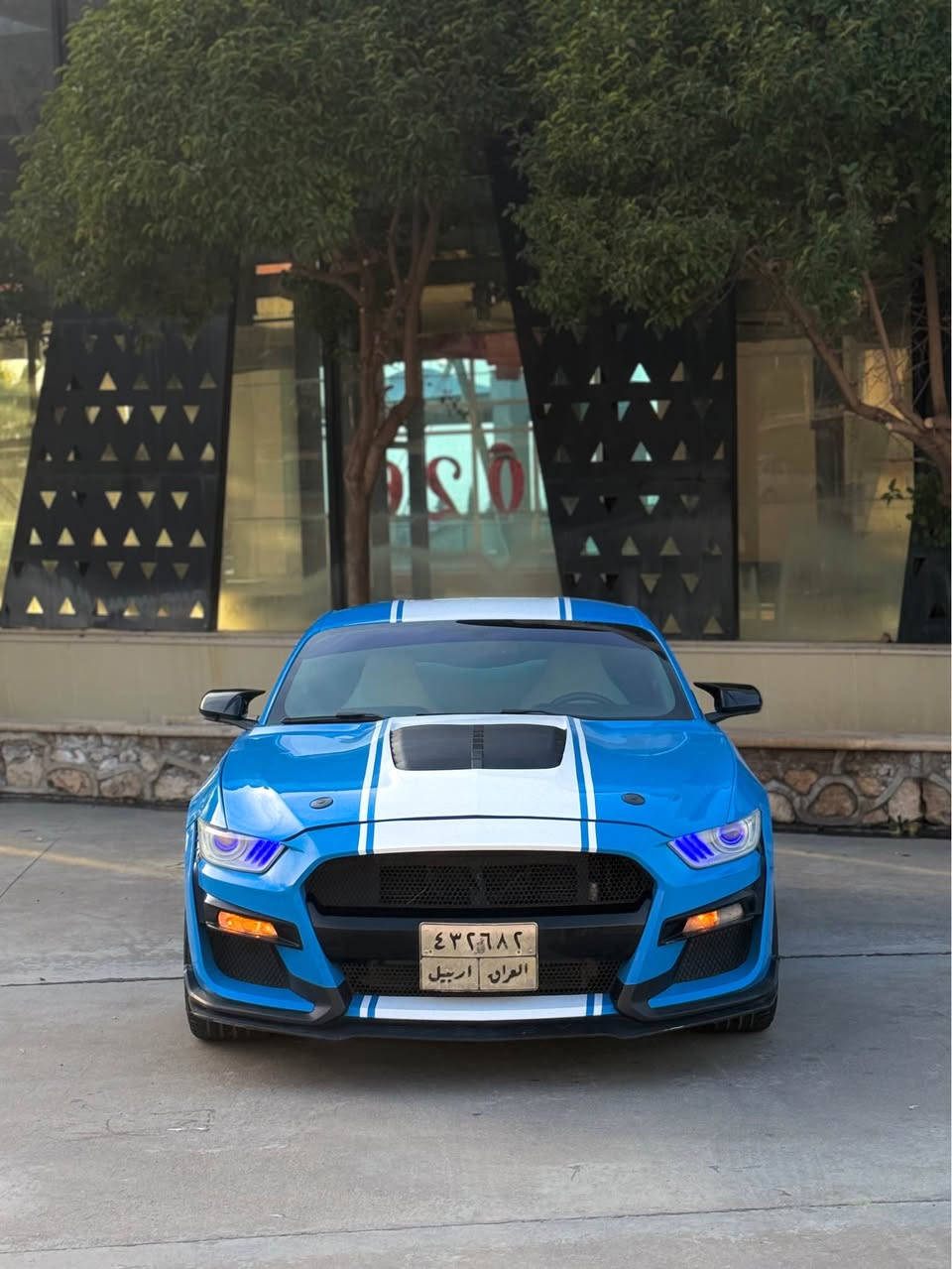 Musting 2017 V6
گير محرك اكسل مكفولات
سياره ماشيه 80 ميل
صبغ فقط بونيد دعاميه صبغ مكفولاه من صبغ و بيها بارد 
ايرباك فقط تكمه طاك 
هلال خلفي صغير بدون شواصي شرط
صدر امامي خلفي جديد مبدلات
كهربائيات شرط
الاظافات✌🏻
مراوح جيتي ٣ بانكات
سياره برمجه مراوح و فطلات كزوز
بونيد shelby
دعاميه شيلبي
سكوبات جانبيه
سكوب باتمان
جنح جيتي 
دفيوزر هسني اصلي
شاشه تيسلا و بلادي هم وياه
كوشنات جلد ازرق و ابيض
ادامه كامله دهن محرك جديد
بلاكات racing
فيتبمب racing
ماكو لا كلوب على دشبول
مكانی اربیل واتساب رقم 
سعر ١٦٥$$
***********
*********** أربيل, العراق
