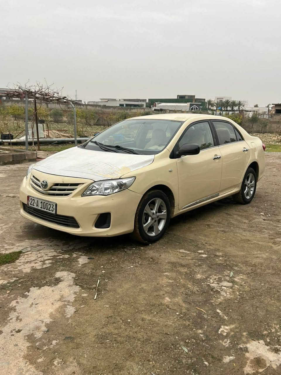 بيكاشو موديل ٢٠١٢سبوغ عام بيشو بشتي كه بسه زورخاوينه كير توماتيك كيرومه كينه به شه رت ته قه ورن قن بن شه رت سه نه وي نوييه به ناوي خومه له هه وليرم سعري ١٢٥وه ره قه *********** أربيل, العراق
