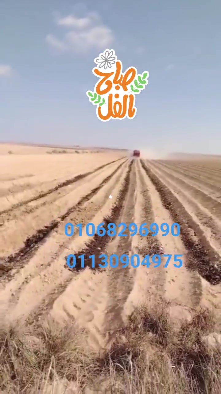 100 فدان فاتحين ملف تقنين ارض مميزه الارض بتروع ميه بحاري وارتوازي موقع استراتيجي بنجر السكر والارض جاهزه للزراعه الاسكندريه 01068296990  01130904975


**إذا كنت صاحب هذا الإعلان وتريد حذفه لأي سبب، رجاءا أرسل رسالة إلى الدعم الفني**