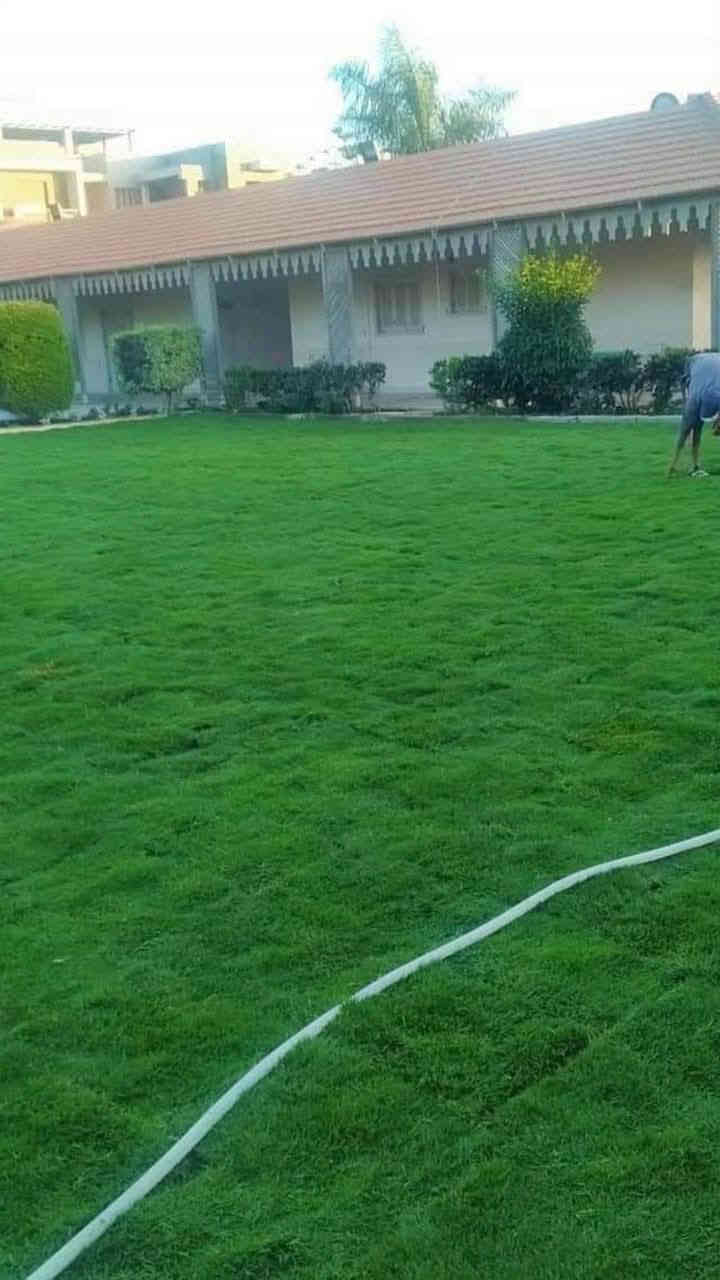 هندسة وتصميم الحدائق داخل الرمادي العمل حسب طلب للاستفسار اكثر اتصل على الرقم  ***********
