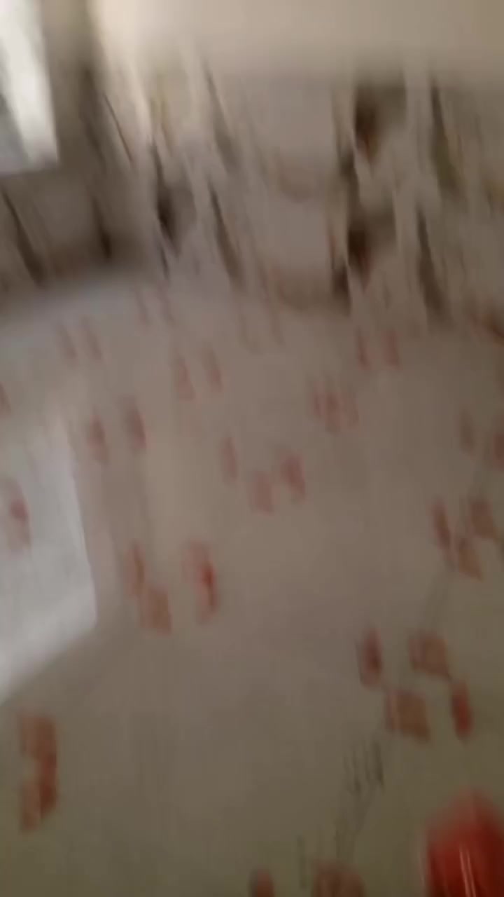 سلام عليكم
متفرغ كافة الاعمال التطبيك البورسلين والسيراميك والكاشي مرمر عمل درجة أولى شغل ليزر مع هزاز 

كادر كامل ملتزم بالعمل لحين نتهاء 

للتواصل *********** رقم واتساب او ادخل خاص وبخدمتك
