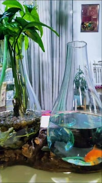 ديكور طاولة • حوض زجاجي • زهور وسمك