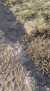 ذاك الصوب • ارض زراعي • 640م