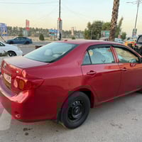 كورلا • ٢٠١٠ • كنعان