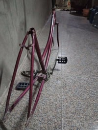 بسكليت • كاملة • نجف كوفه