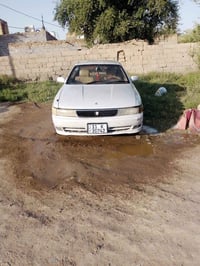 شيزر • ١٩٩٥ • الشطرة