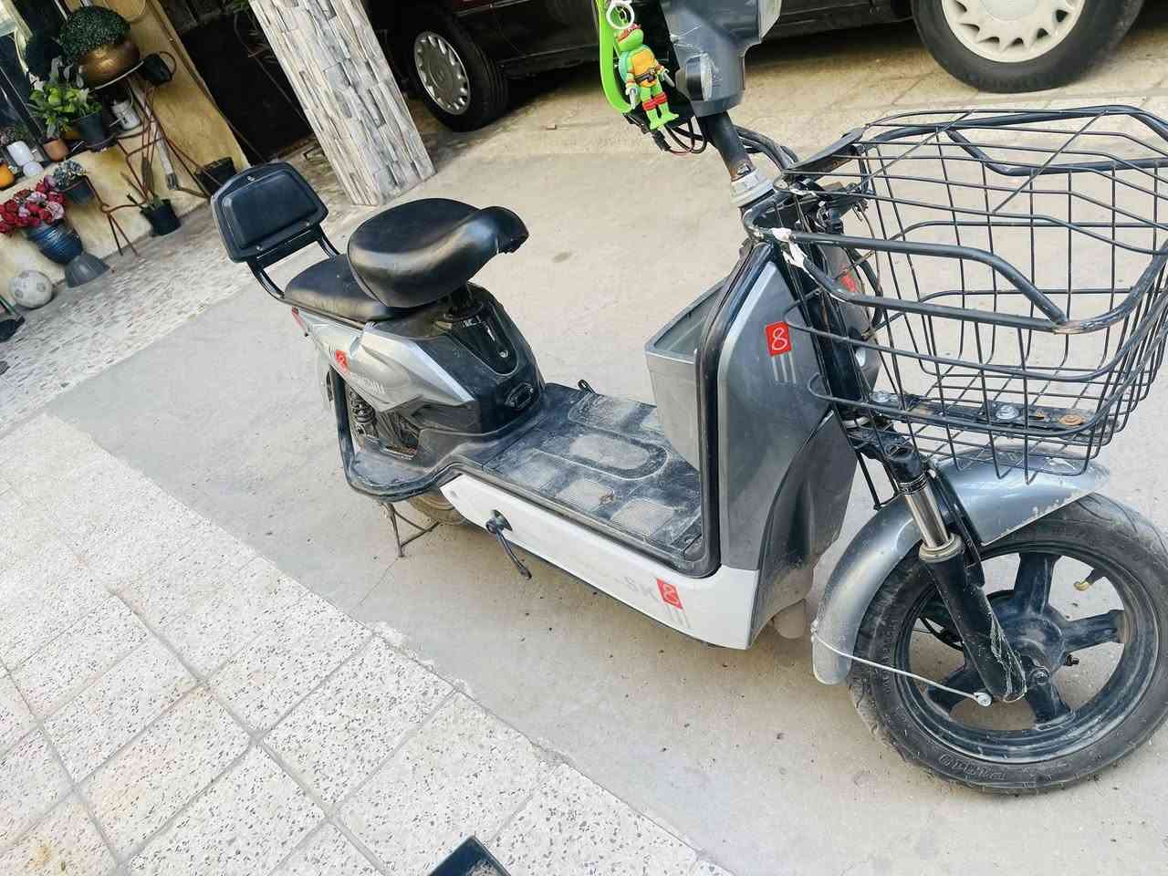 دراجه شحن البيع سعر 170


**إذا كنت صاحب هذا الإعلان وتريد حذفه لأي سبب، رجاءا أرسل رسالة إلى الدعم الفني**