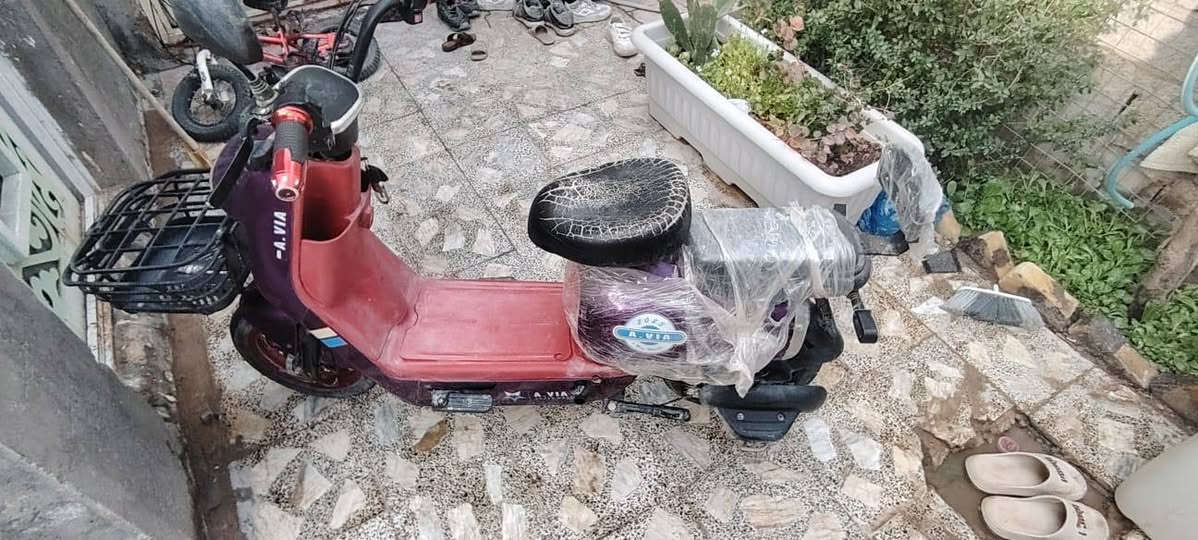 سلام عليكم شباب جبتلكم دراجه شحن حجم 14 لو بنفسجي 🟪 الدراجه نضيفه الله شاهد المشاكل
1- حساس ملف عاطل 
2- الدراجه شحن ماتاخذ
فقط
المواصفات
1- بصمه عدد 2
2- سويج عدد 2
3- مفتاح قفل تاير عدد 1
4- سكليتر مزود VIP
الدراجه يجي وياه مرايه وشاحنتين ثنينهن اصليات ودواسه 
السرعه الحقيقيه للدراجه 45 تتحمل وزن ثقيل التايرات ما بيهن اي ثقب والدراجه سعره 150 الله شاهد مشتريه ب490 وصارله وياي يمكن6 اشهر 
للتواصل *********** واتساب

