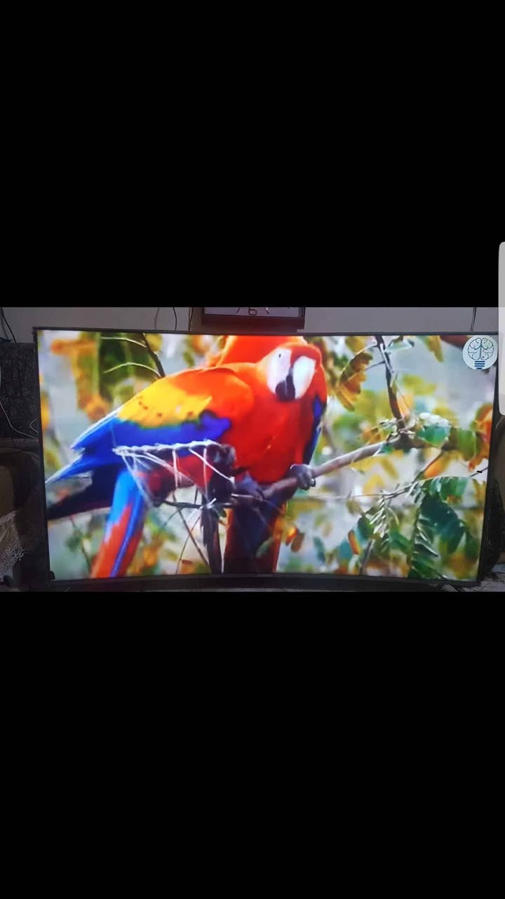 شاشات احجام مختلفه وكلمن بسعره عمارة, ميسان


**إذا كنت صاحب هذا الإعلان وتريد حذفه لأي سبب، رجاءا أرسل رسالة إلى الدعم الفني**