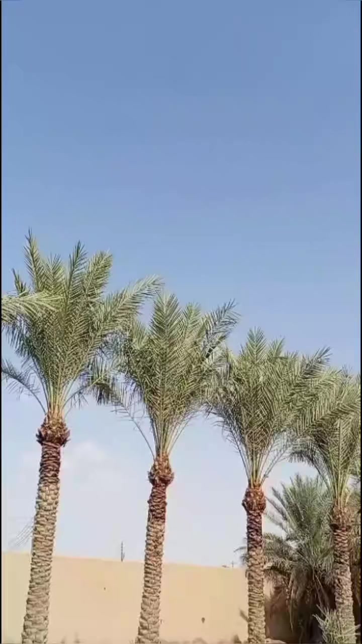 عمل كافة الأصباغ....
***********
