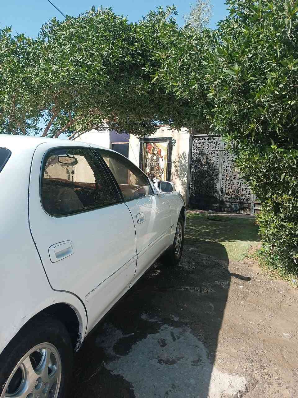 سلام عليكم كرسته مكفوله نقل فقط امرشه جنطه محرك ونجي حداديه طوبه والباقي كفاله عامه رقم بصره تحويل ثاني يوم العنوان بصره ازبير رقم الهاتف ***********$42
