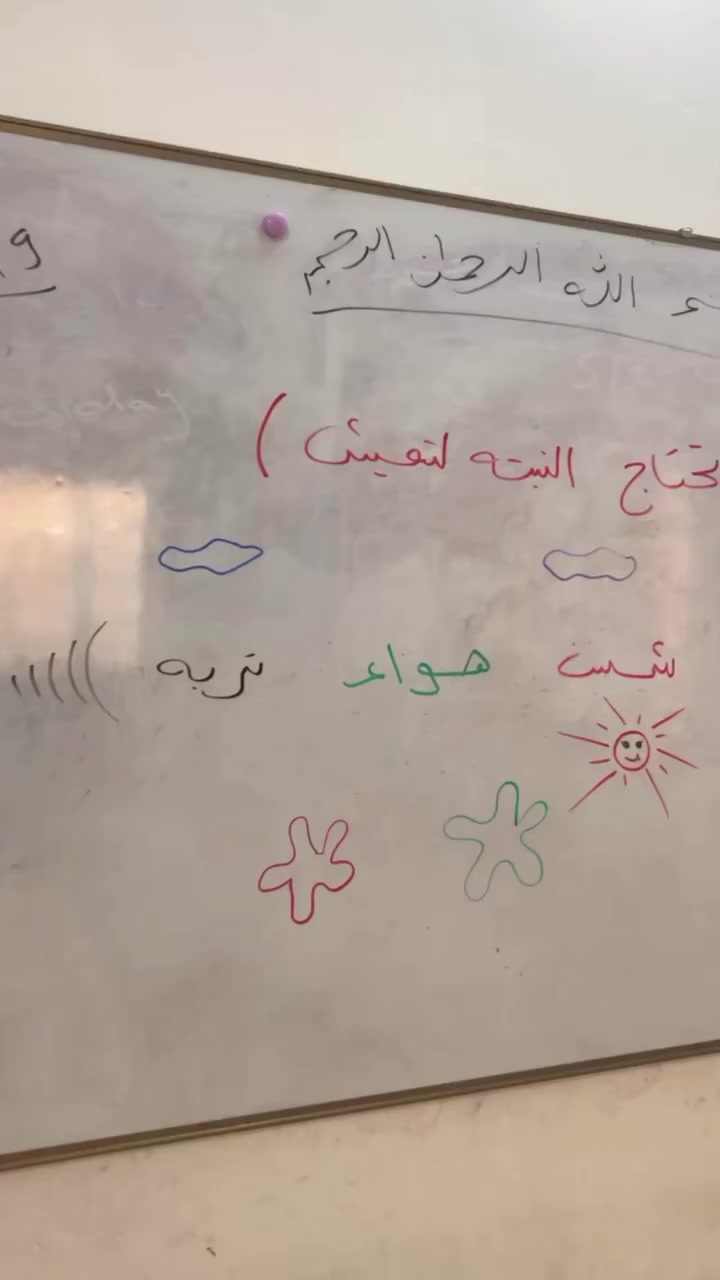 اليوم تعلمنا سر حياه النباتات☘️🧚🏻‍♀️
#عالم سمسم مليئ بالحياه 🌱

العنوان - قضاء الخالص - الغربية - خلف مدرسة مصطفى جواد

رقم الهاتف/  ***********
