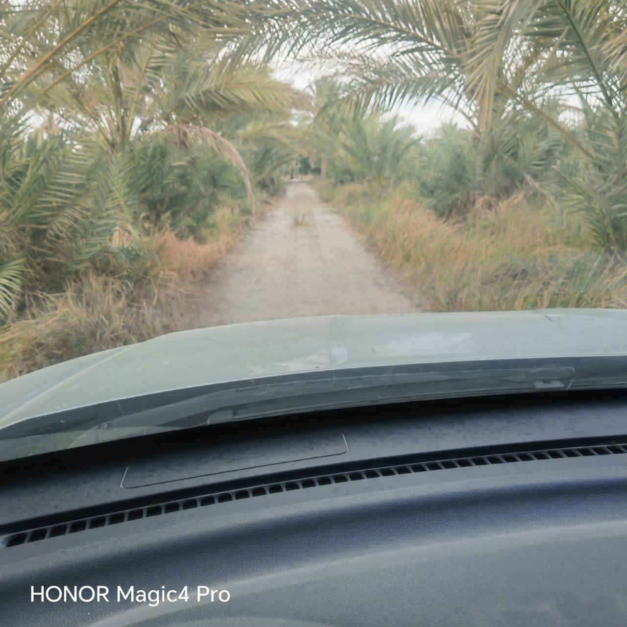 السلام عليكم اخواني الأعزاء
يتوفر لدينا 10دونم طابو ملك صرف بستان 

خدمات الأرض ماء سقي كهرباء أسألة سكن خدمات الأرض كاملة تصلح انشاء مزارع أو شاليهات أو استثمار 
موقع الأرض مميز جدا 
البصام على طابو الكاظمية فتح بيان وتحويل

فرصة ذهبية 

تبعد عن مركز مدينة بغداد نص ساعة أو أقل 

للإستفسار أكثر مراسلة الصفحة أو الاتصال على الأرقام التالية ***********📞
***********📞
***********📞
