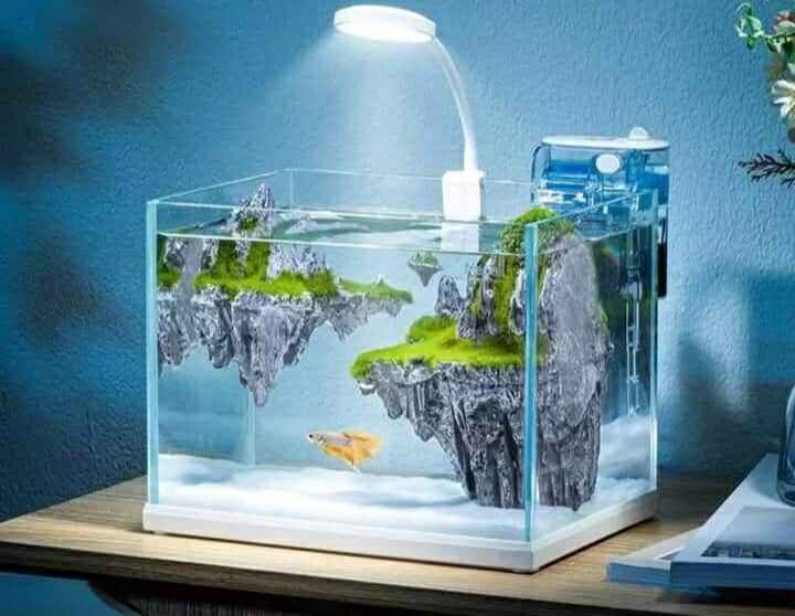 حوض ماركة YEE زجاجه عالي نصوع " الترا كلير ماطوره شفاف ووياه رمل ابيض
وانارة LED
 
#توصيل 
#بغداد 
#محافظات 
#العراق بغداد, العراق


**إذا كنت صاحب هذا الإعلان وتريد حذفه لأي سبب، رجاءا أرسل رسالة إلى الدعم الفني**