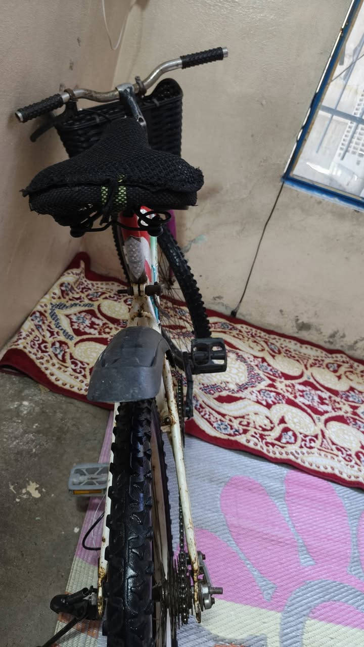سلام عليكم بايسكل للبيع سعر 35وبي مجال


**إذا كنت صاحب هذا الإعلان وتريد حذفه لأي سبب، رجاءا أرسل رسالة إلى الدعم الفني**