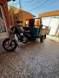 ستوته • جديده • ٢٠٢٤