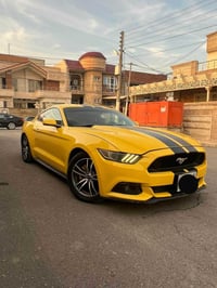 موستانك ايكوبوست • ٢٠١٦ • رقم اربيل