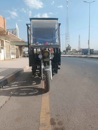 ستوتة MTR • فحل عالي • سلف واير