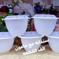 كمية محدودة • توصيل لجميع المحافظات • زرع للعرض