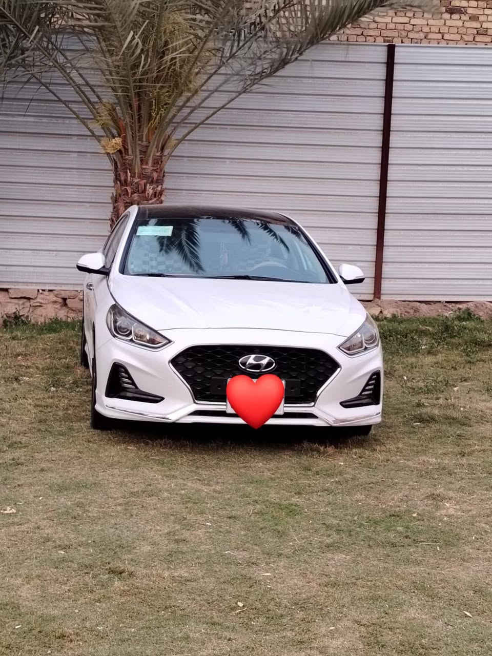 السلام عليكم
سوناتا خليجي موديل 2018💯 
 كفاله عامة ماعده بارد بسيط
مواصفات
واحد على واحد ماعدا البصمه 💯
بنرامه
شفتات استيرن
قطعتين تبريد
ثلاث نوعيات قياده
شاشه المس  كامره خلفيه
مري شفط
حساس خلفي
لد نهاري
مكينه 2400دوش
ماشيه 166
وبعد بيه مواصفات هوي
رقم أربيل 
مكان السيارة نجف
رقم *********** 
                   السعر 158$وبيها مجال
