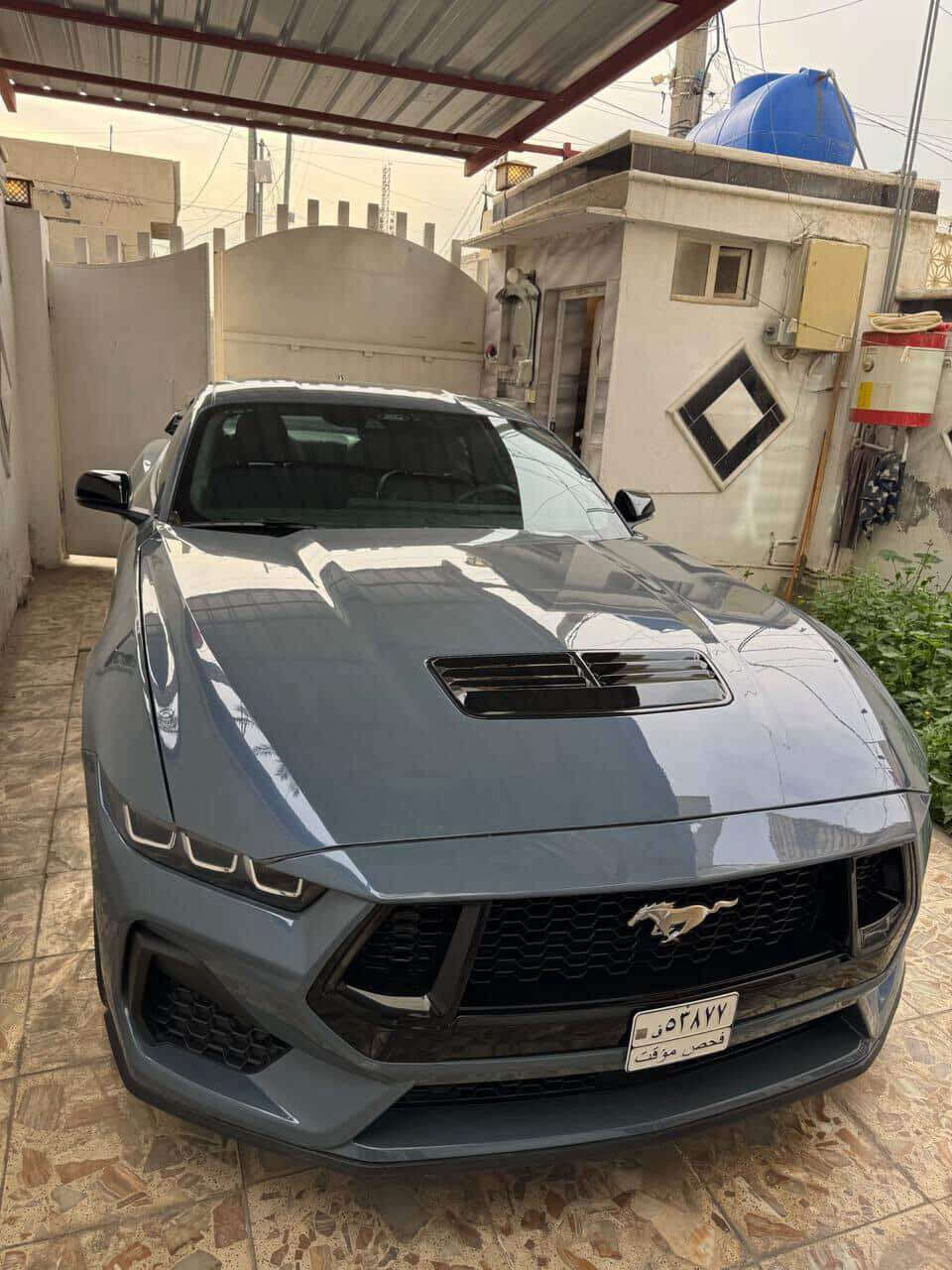 سلام عليكم اخوان 
 موستنك 24 مرقم بغداد 
Gt 5.0 
كير مكينة اكسل كفالة ماشية 10 ميل 
السيارة فول الفول 
شاشة متصلة 
لايتات زنون 
تحكم من الريمونت بل صوت
اكتف اكزوز
ويالة بلادي اسود
كشنات جلد هيتر وتبريد
تحكمات بل شاشة ومواصفاتها متخلص
نقاط عمياء  وهيتر مري واوتو ديم
كامرة خلفية دوارة
يعني بين قوسين الفول الفول مالتها 
السيارة بيها 3 قطع 
الايرباك فدوة الكم طاك ومرجع سستم
السيارة قوية حيل وحلوة ونصبتها بلادية بدون سوالف تعديل يعني على راحتك تلعب بيها
السيارة سعرها مناسب حيل مقارنة بخواتها
سعر السيارة 265 
يعني دفترين و 65 ورقة وبيها مجال
مكانها بغداد
رقم التلفون للتواصل *********** أربيل, العراق
