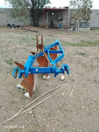 فيدان للبيع حج مالته 14 السعر ماله 15 ورقه بيها مجال 07756092589