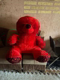 عيد الحب • دبدوب • هدية