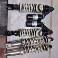 دبلات • سكنس • ثعلب