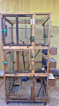 قفص طيور • نضيف ومرتب • كركوك