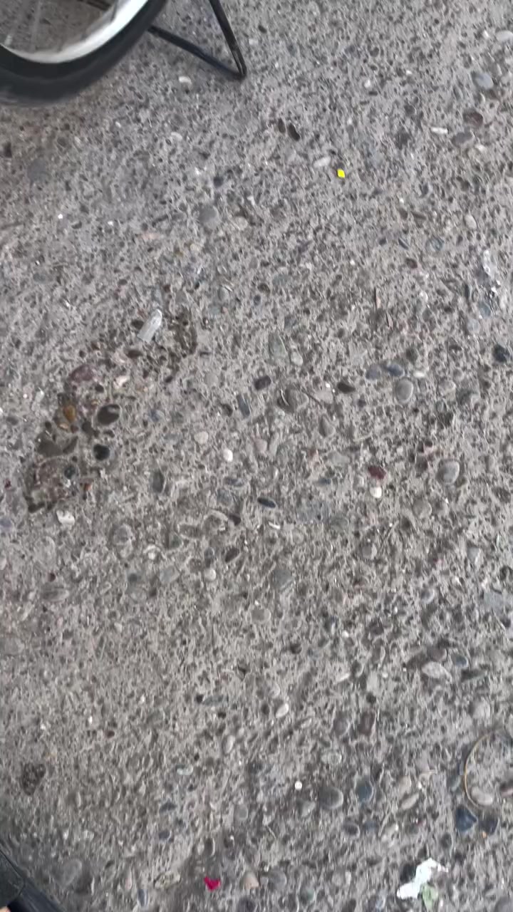 سلام عليكم بايسكل ياباني للبيع شركه ليدز  شراي تعال خاص ***********
