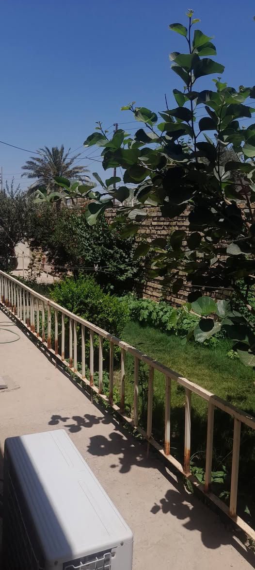 السلام عليكم
عقار في الدغارة حي الشرطة ..خلف بانزينخانة الدغارة الاستثمارية ..مقابل بيت الاستاذ عدنان فرهود ....طابو صرف

مساحة 316م

التفاصيل بيت طابق واحد بناء عكادة يحوي 3 غرف نوم ...5×4 عدد2 و4×4 عدد واحد

...مطبخ سيراميك 5×5

صالة 9×4  

استقبال 7×4

صحيات داخلية وخارجية

كراج سيارة 

حديقة مع ممرات واسعة داير البيت 

سطح شتايكر 

المنطقة مؤهلة بكافة الخدمات واصل ماء جديد ومجاري
شارع مقرنص وتبليط
بيع او مراوس مع بيت في مركز الديوانية اكثر من150متر 

الاستفسار والاتصال على الخاص او *********** متوفر واتساب
