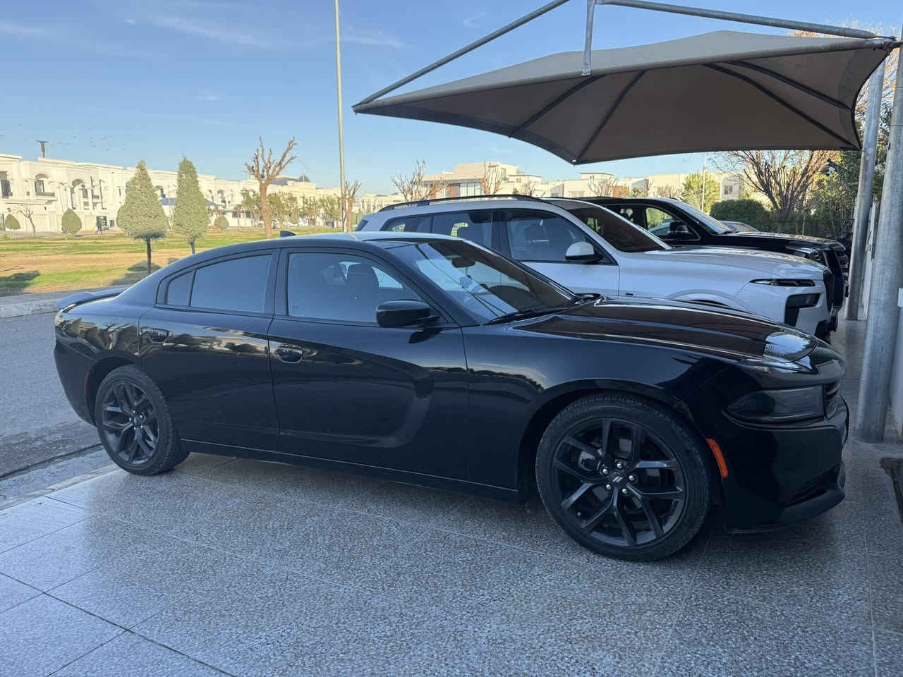 جارجر بلاك توب 2023
Last call 🔥

سياره ماشيه 54 الف ميل 

بدون ايرباك بجم كبس 

السيارة حادثها جاملغ خلفي بامريكا وعلى وضعها ما شاء الله 

رقم الشاصي 2C3CDXBG9PH516100

السعر 255 وبي مجال 

رقمي واتس + اتصال ***********

رقمي اسيا اتصال فقط ***********

مكان السيارة موصل 

وخميس جمعة سبت اربيل
