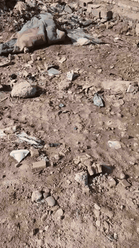 منطقة الضباط الثانيه • ١٠×١٠م • ١٠٠م