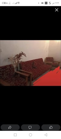 قنفات • ٦ قطع • بلا ضرر