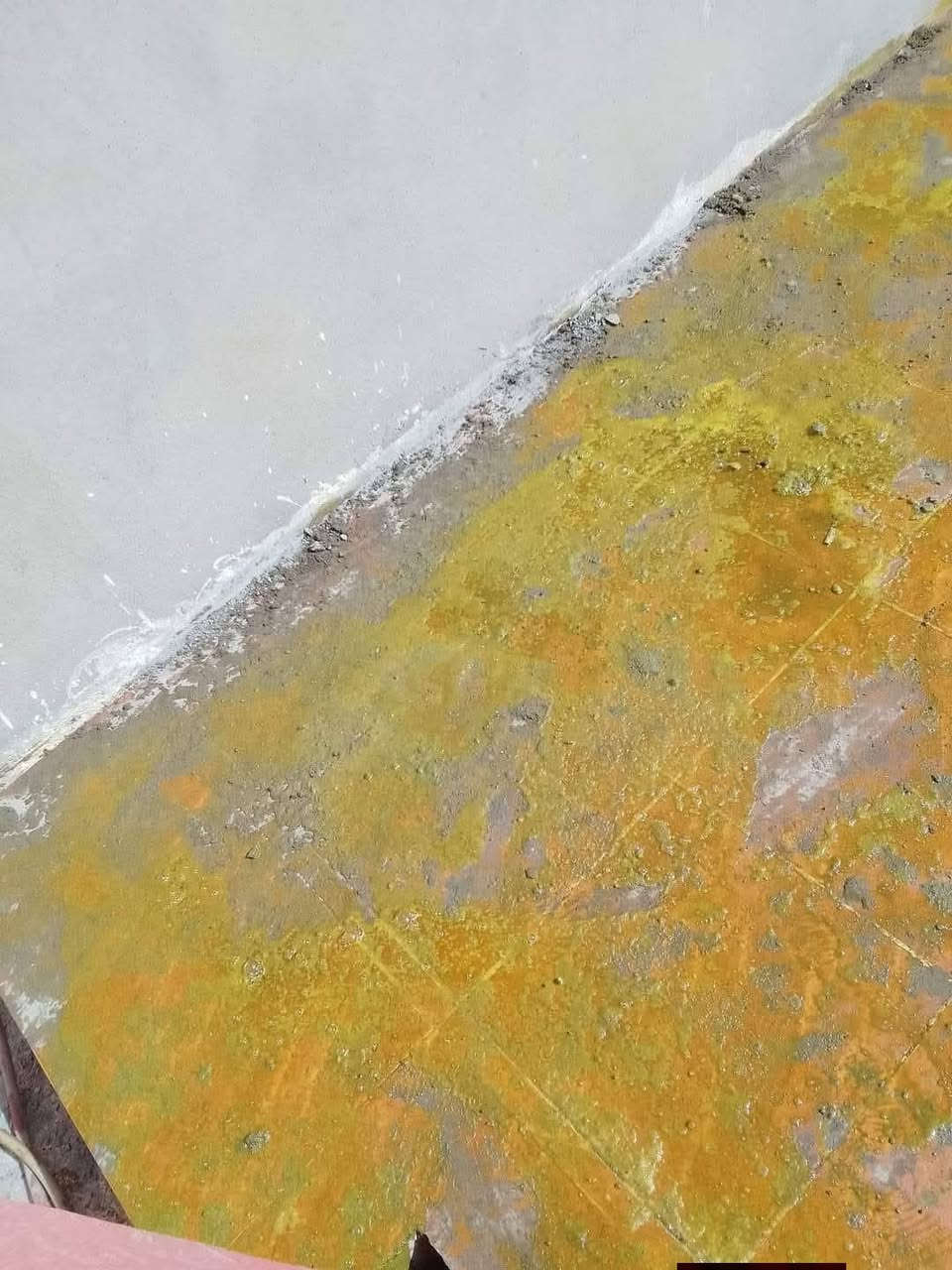 جلي أنواع الكاشي والسيراميك والمرمر 
***********
‏‪***********‬‏
