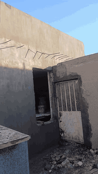 لباخ مصري متفرغ درجة اولا ٠٧٨٧٤٦٦٧٦٥١