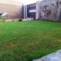 بيت سند • تحويل مباشر • ٢٥٠م