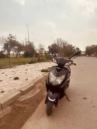 سكنس فحل • ٢٠١٢ • مكفولة