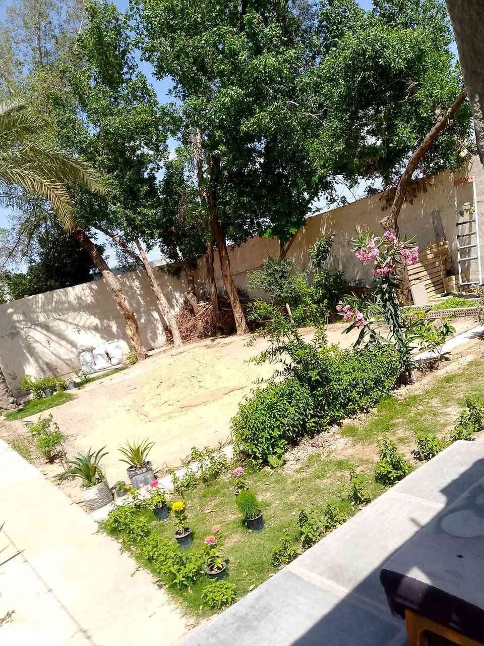 الدار للبيع  العنوان الطالبيه خلف مسبح الصفا
مساحه البيت 100
الحديقه الخلفيه 150
السعر 75 
التواصل على هذا الرقم ***********
