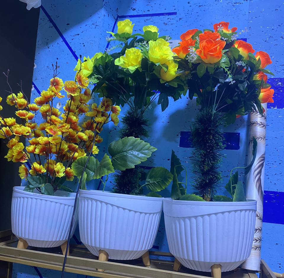 ورد   اصطناعي كلش حلو وكبير بل حقيقه احلى بهواي اكو كبار وصغار. صور مواضحه كلش بس يجنن والله لبيع


**إذا كنت صاحب هذا الإعلان وتريد حذفه لأي سبب، رجاءا أرسل رسالة إلى الدعم الفني**