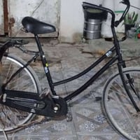 باسكل بطه • حجم ٢٦ • موديل ٢٠١٥