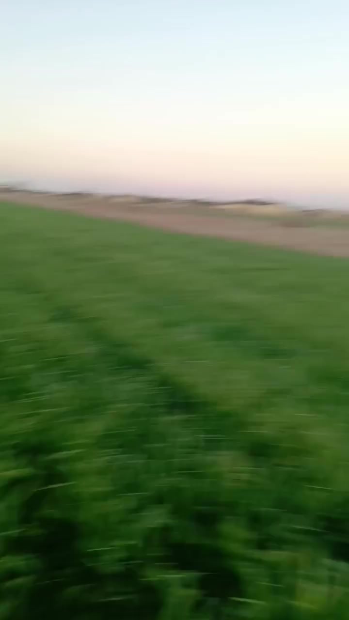 للبيع 4 دونم زراعي أسهم منطقة گدر مناحي على شط العطشان تبعد 4 كم عن مقام الامام المهدي  *********** الاتصال على الرقم
