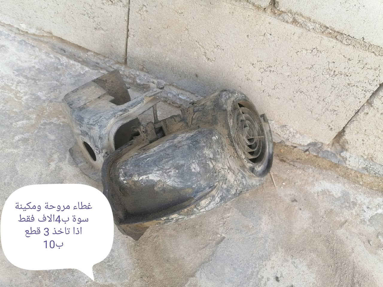 غراض تفصيف بسعاررخيصة  منغولي دولفين بيجي  للاستفسار *********** بي وتساب
