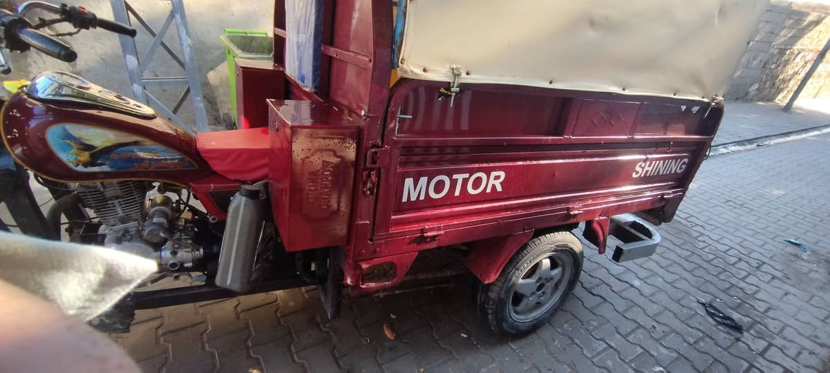 ستوته جمره رقم الماني قادسيه راعيها بالصلاحيه كامله كلها شغاله بيها فطر وملحوم مديل 13 السعر 1750وبيها مجال الرضويه ***********
