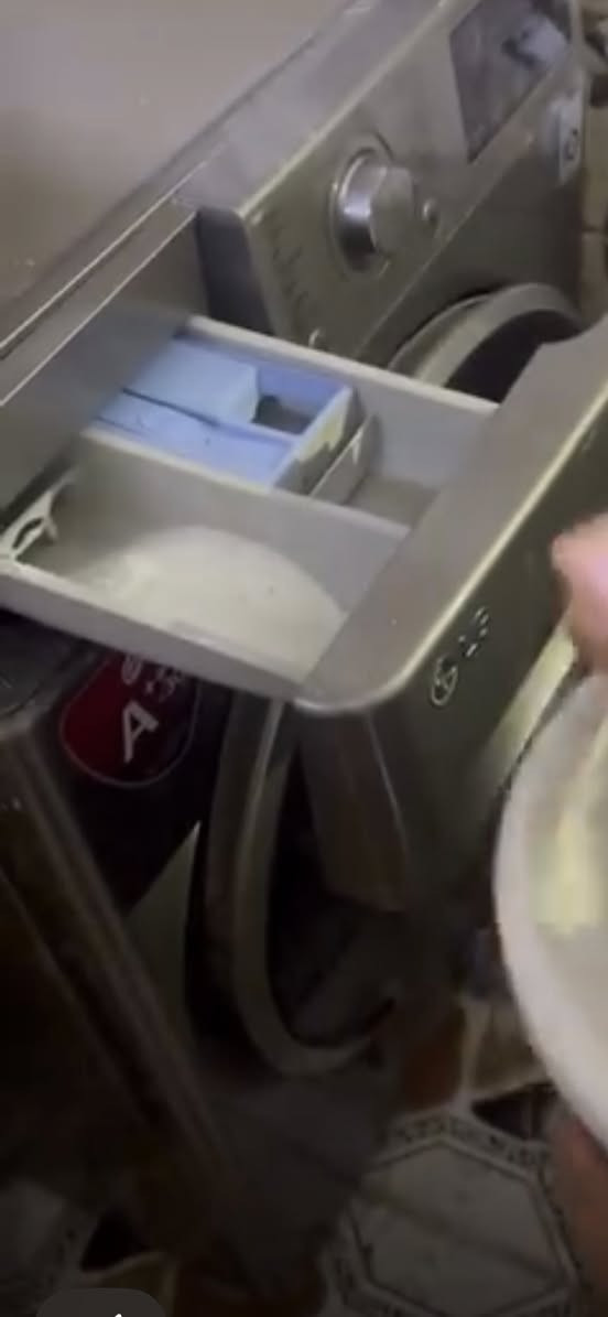 نضيفه جداً 8كيلوات وزنها السعر 225


**إذا كنت صاحب هذا الإعلان وتريد حذفه لأي سبب، رجاءا أرسل رسالة إلى الدعم الفني**