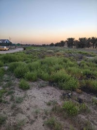 قرب مرقد الشريفه • ٢٥٠٠م • ماء كهرباء
