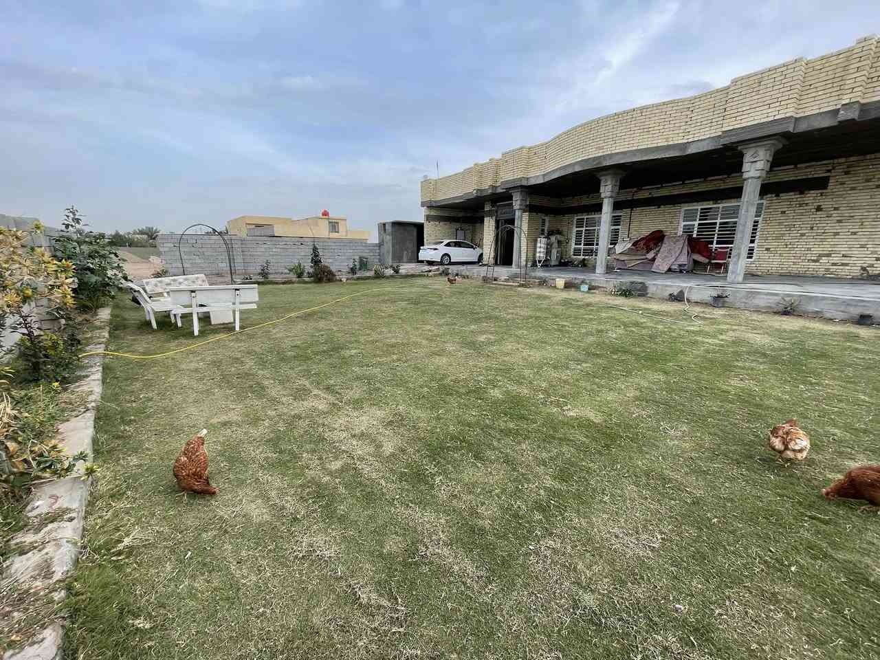 السلام عليكم 
للبيع بيت مساحه 400 متر مع الارض 1600 متر طاير زرعي سند 25 بناء حديث طابوق سنه 2025 يحتوي البيت على 3 غرف نوم و مطبخ حار و بارد و صحن درج كبير و استقبال كبيره و اضافه إلى حديقه مساحته 200 متر  
للاستفسار ***********
