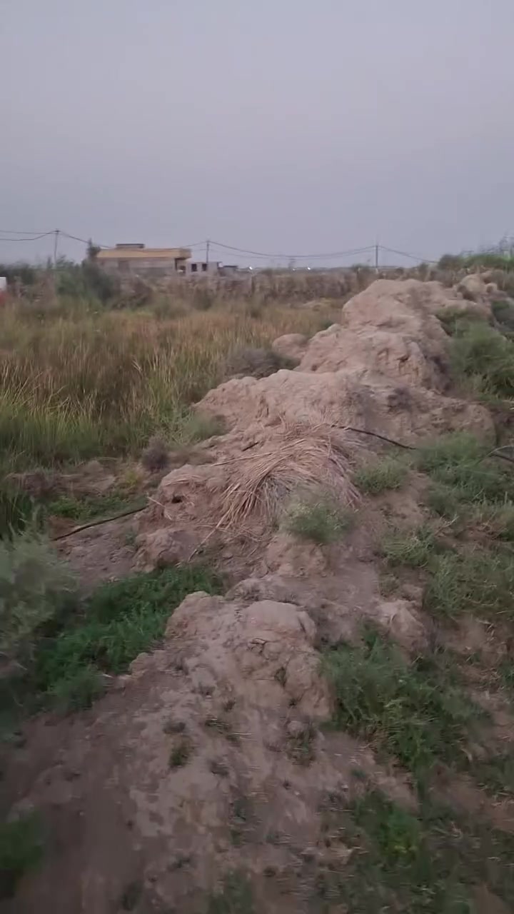 السلام عليكم ارض زراعيه للبيع ٤ دوانم  طريق بعير متوفر ماء كهرباء وتبليط الاستفسار الاتصال على 
***********
***********
