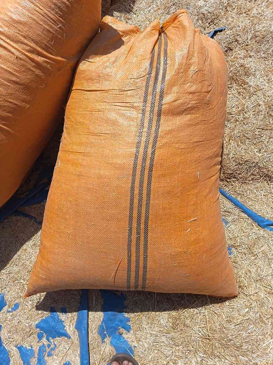 السلام عليكم ورحمة الله وبركاته
الهم صلي وبارك على سيدنا محمد 

#يتوفر لدى مكتب مصطفى الجبوري 
#تبن مجروش 

1-#حجم الجيس ٨٥ ×١٠٠ السعر ٦٥٠٠ الزوج 
2-#حجم الجيس ٧٠ ×١٠٥ السعر ٦٠٠٠ الزوج  

#يوجد لدينا خدمة توصيل 

#اسعار #جملة #جملة 

العنوان اليوسفية 
#منطقة #البعامر #محلات جبور

*********** امير الجبوري
