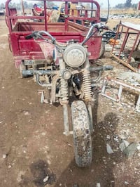 ستوته • صوت بالمحرك • سعديه الشط